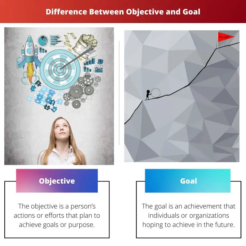 Difference Between Objective and Goal