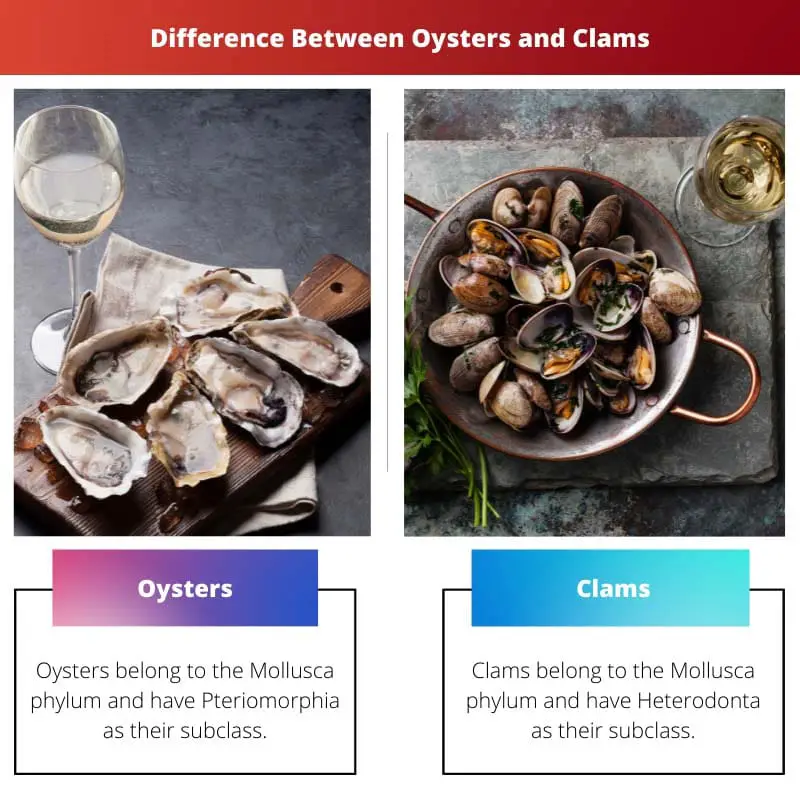 Difference Between Oysters and Clams
