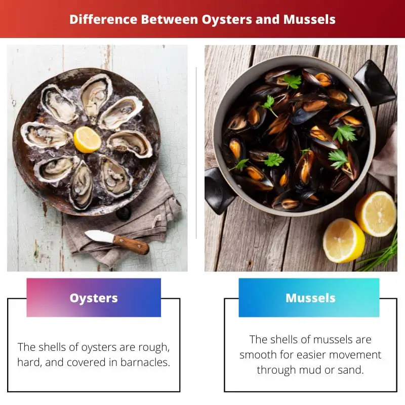 Difference Between Oysters and Mussels