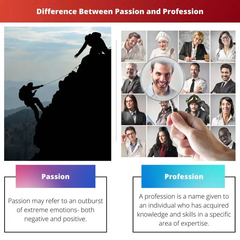 Difference Between Passion and Profession