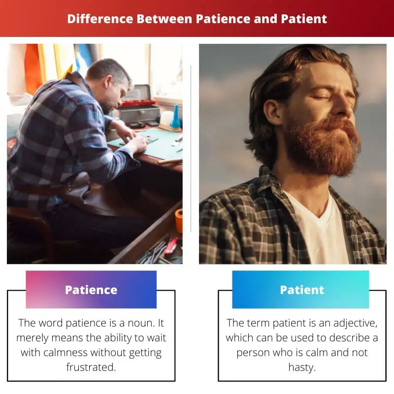 Diferencia entre paciencia y paciente