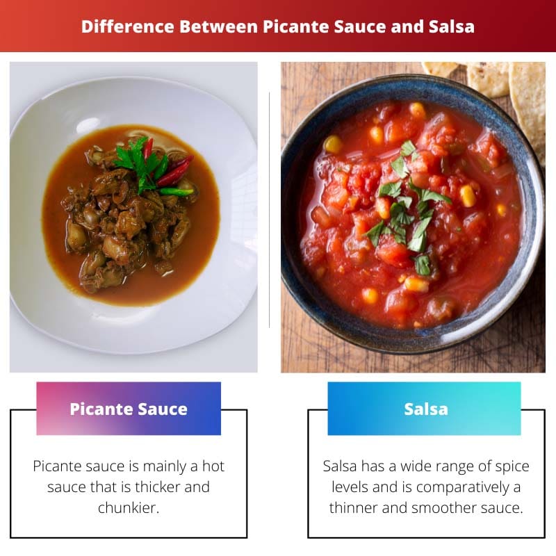 Rozdíl mezi omáčkou Picante a salsou