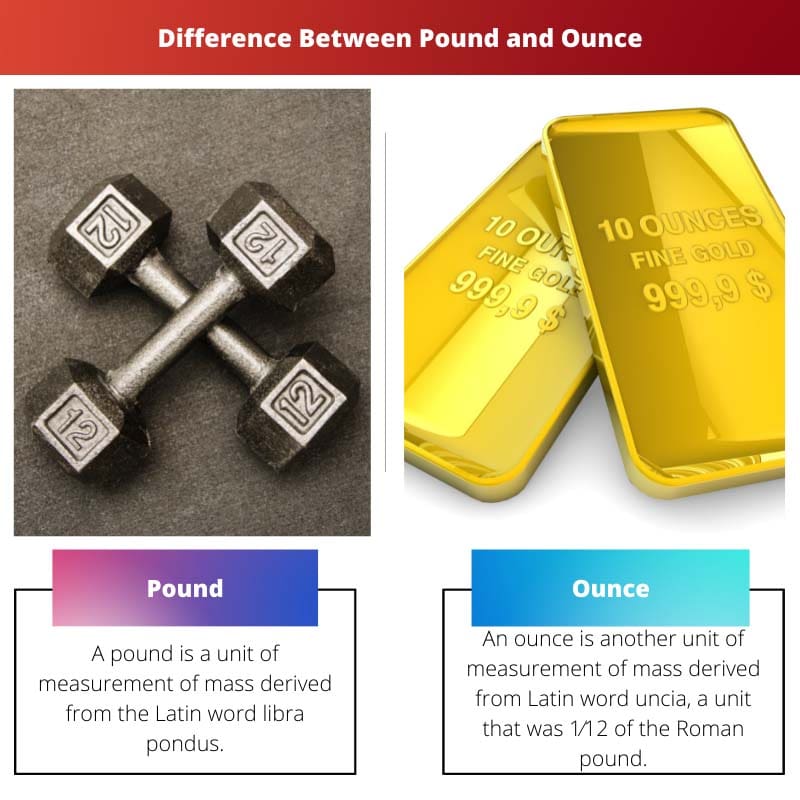 Difference Between Pound and Ounce