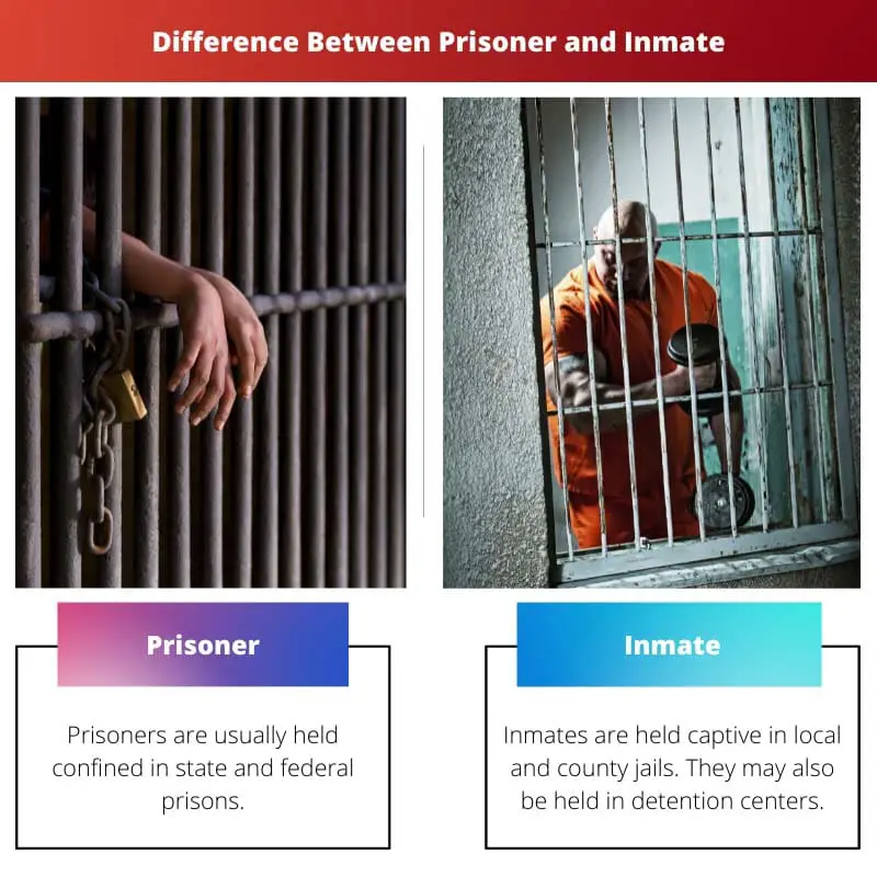 Difference Between Prisoner and Inmate