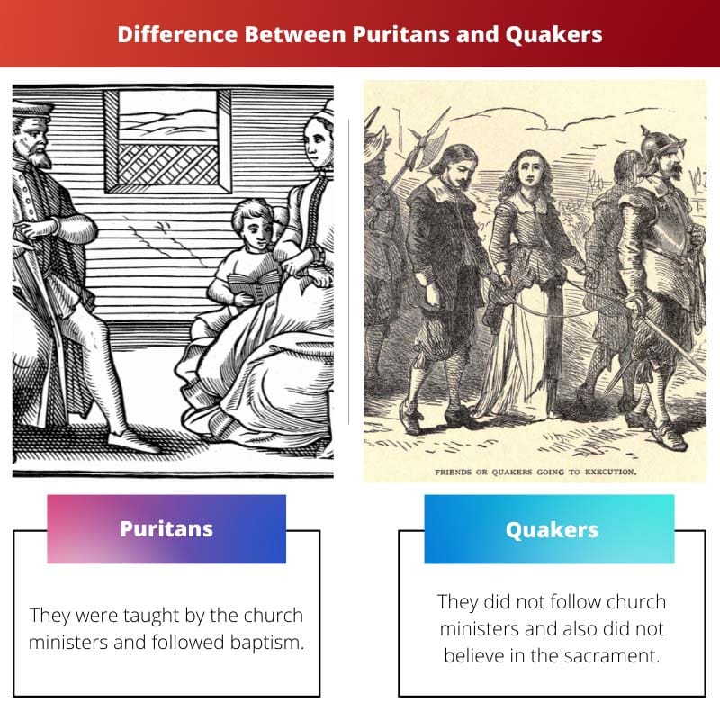 Разница между пуританами и квакерами