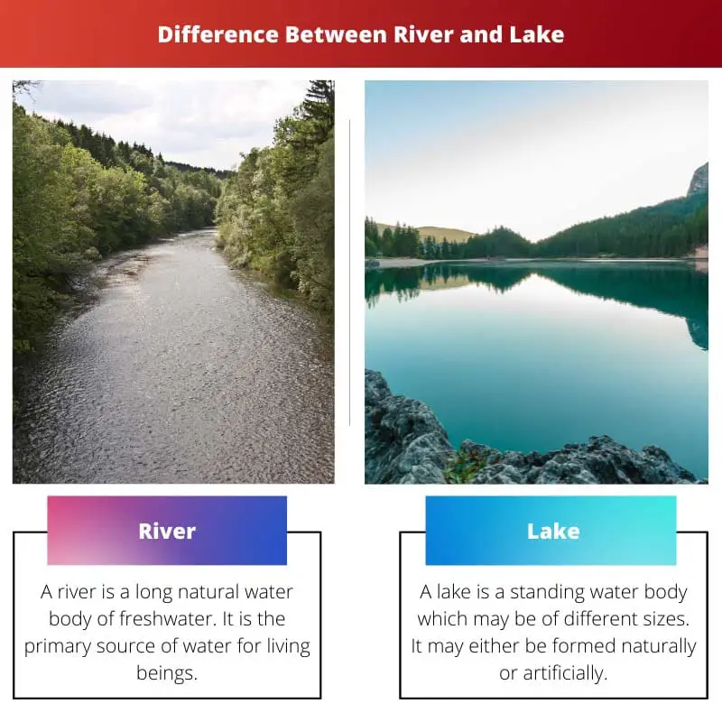 Разница между рекой и озером