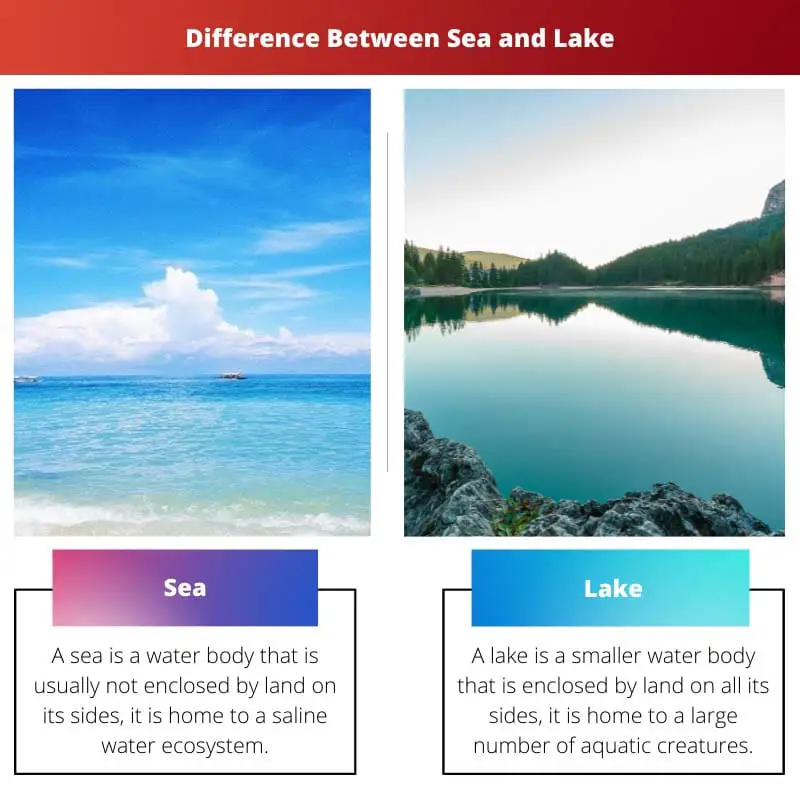 Difference Between Sea and Lake