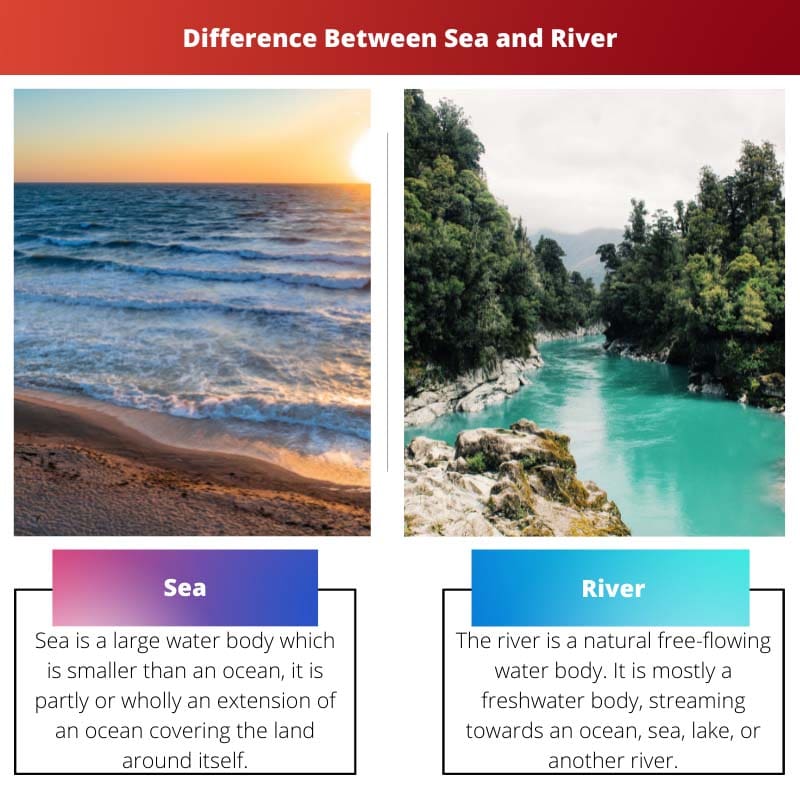 Atšķirība starp jūru un upi
