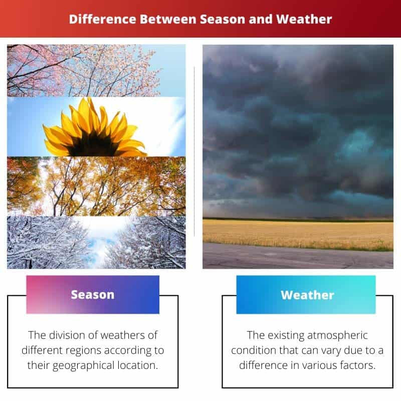 Season Vs Weather Difference And Comparison