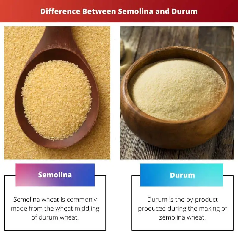 Difference Between Semolina and Durum