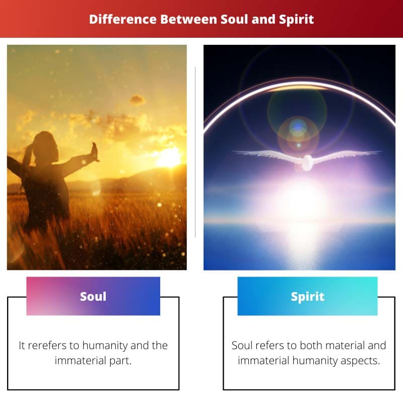 ความแตกต่างระหว่างวิญญาณและวิญญาณ