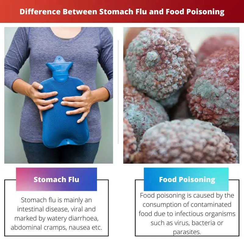 Difference Between Stomach Flu and Food Poisoning
