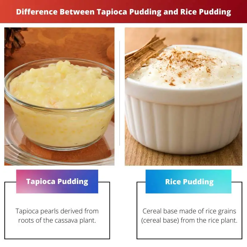 Verschil tussen tapiocapudding en rijstpudding