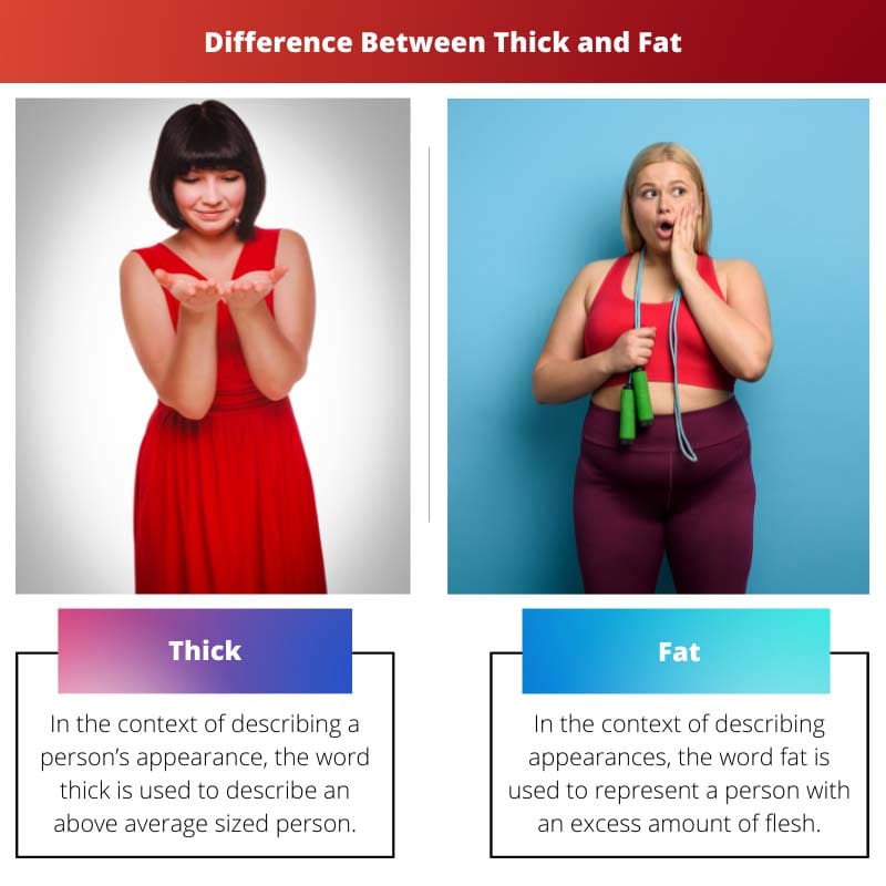 Différence entre épais et gras