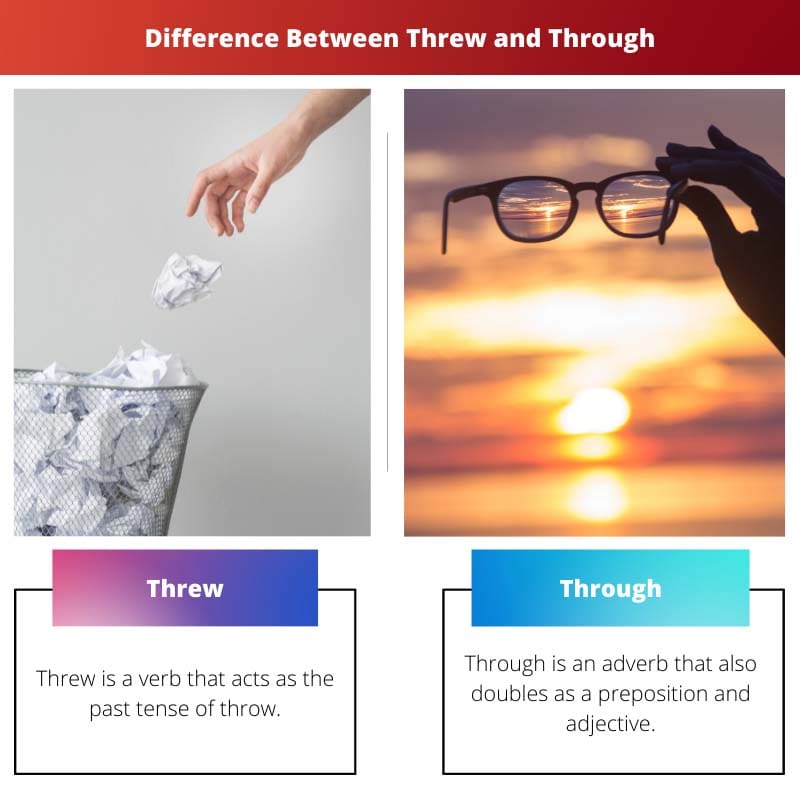 Difference Between Threw and Through