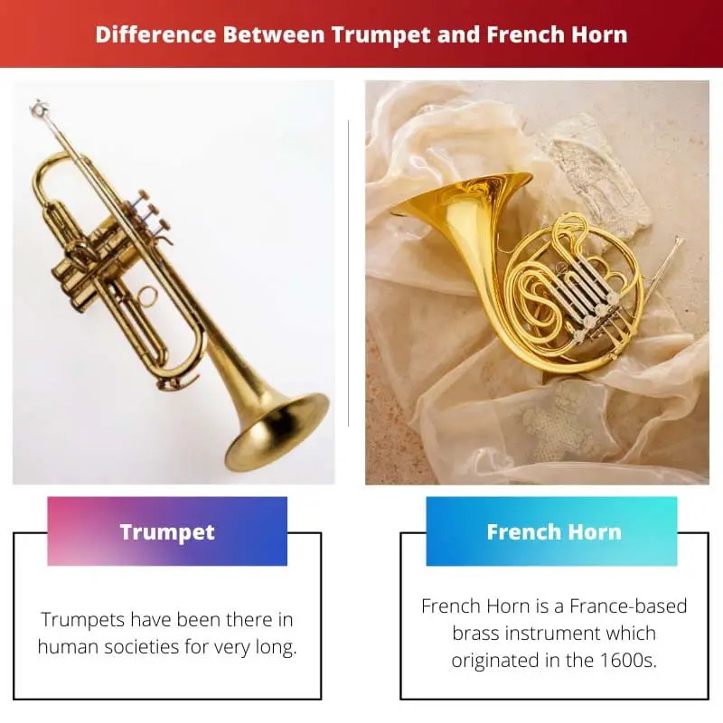 Atšķirība starp trompeti un franču ragu