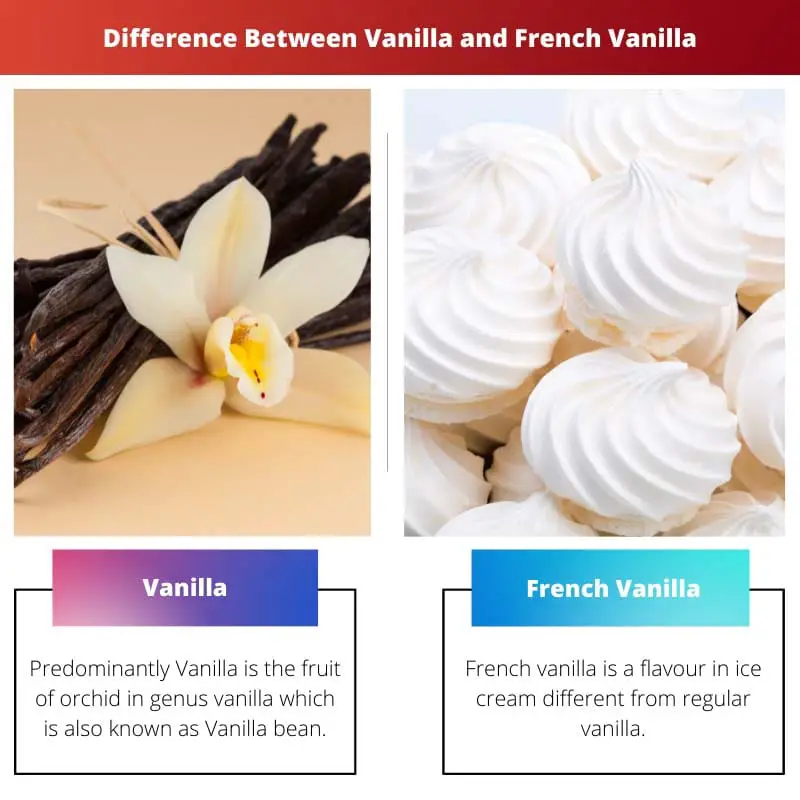 Difference Between Vanilla and French Vanilla