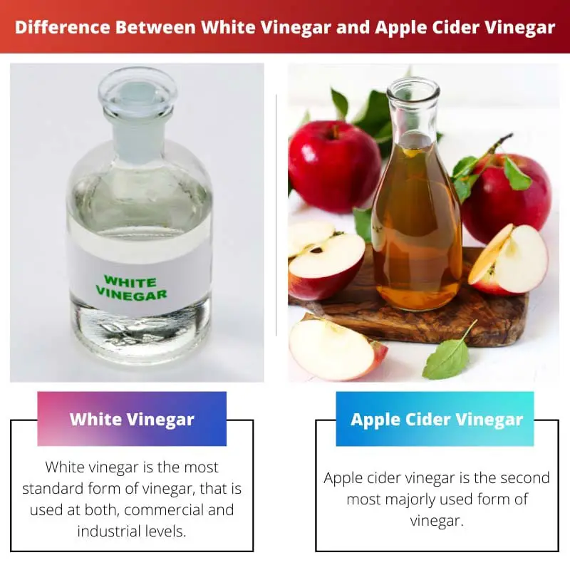Difference Between White Vinegar and Apple Cider Vinegar