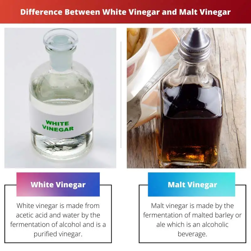 Difference Between White Vinegar and Malt Vinegar