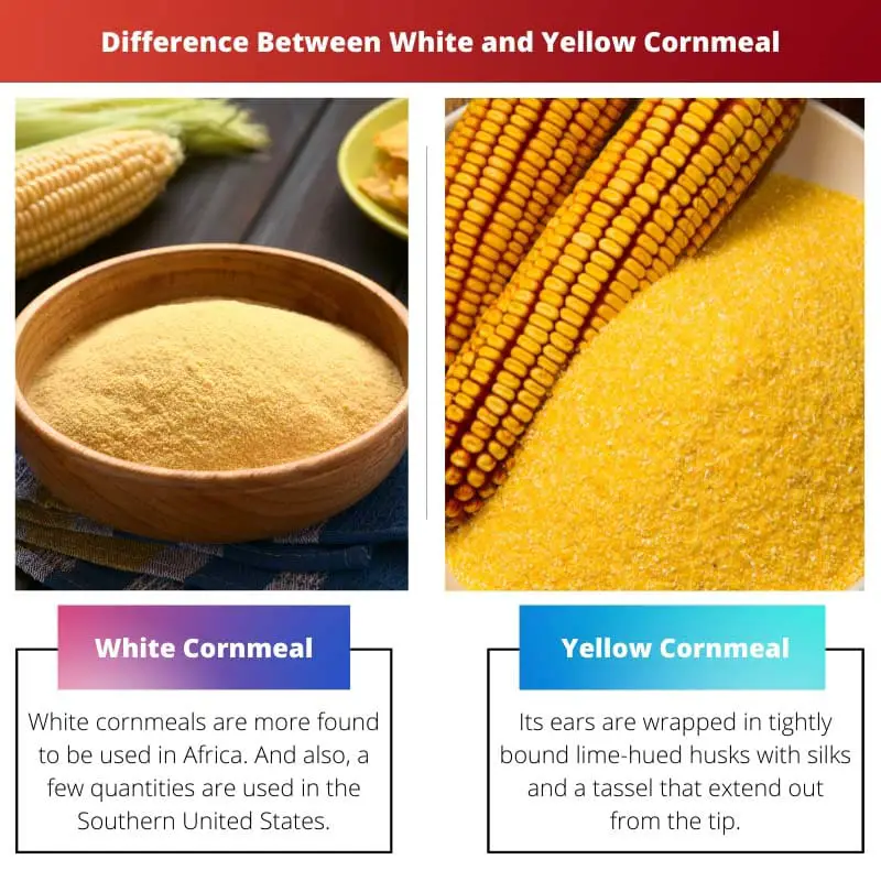 Diferencia entre harina de maíz blanca y amarilla