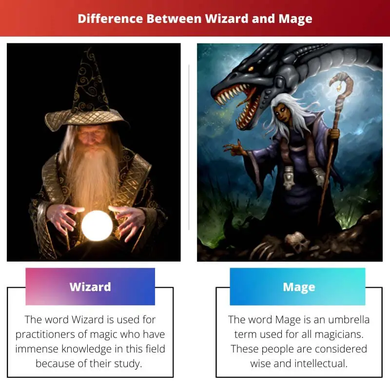 Ero Wizardin ja Magen välillä