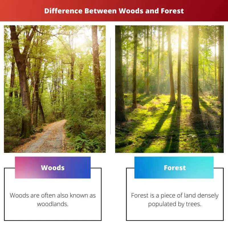 Différence entre bois et forêt