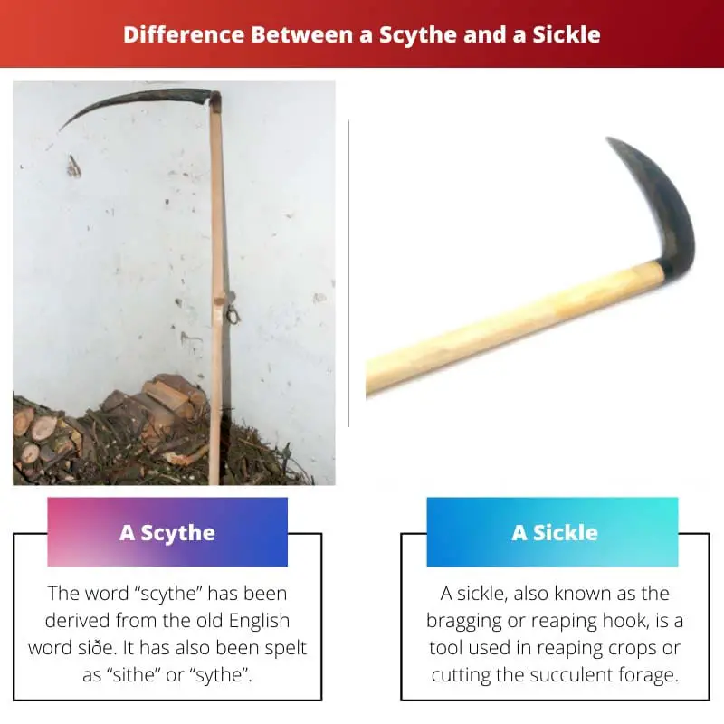 Difference Between a Scythe and a Sickle