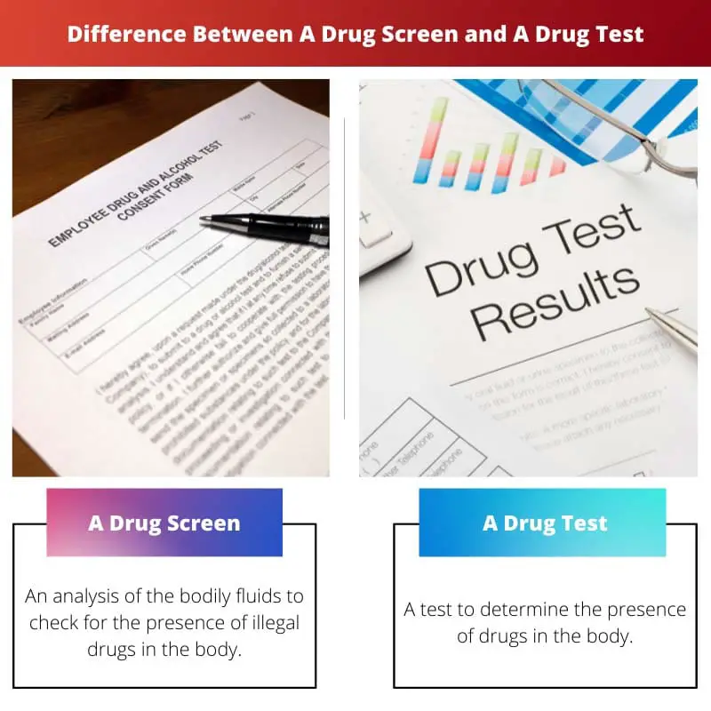 Difference Between A Drug Screen and A Drug Test