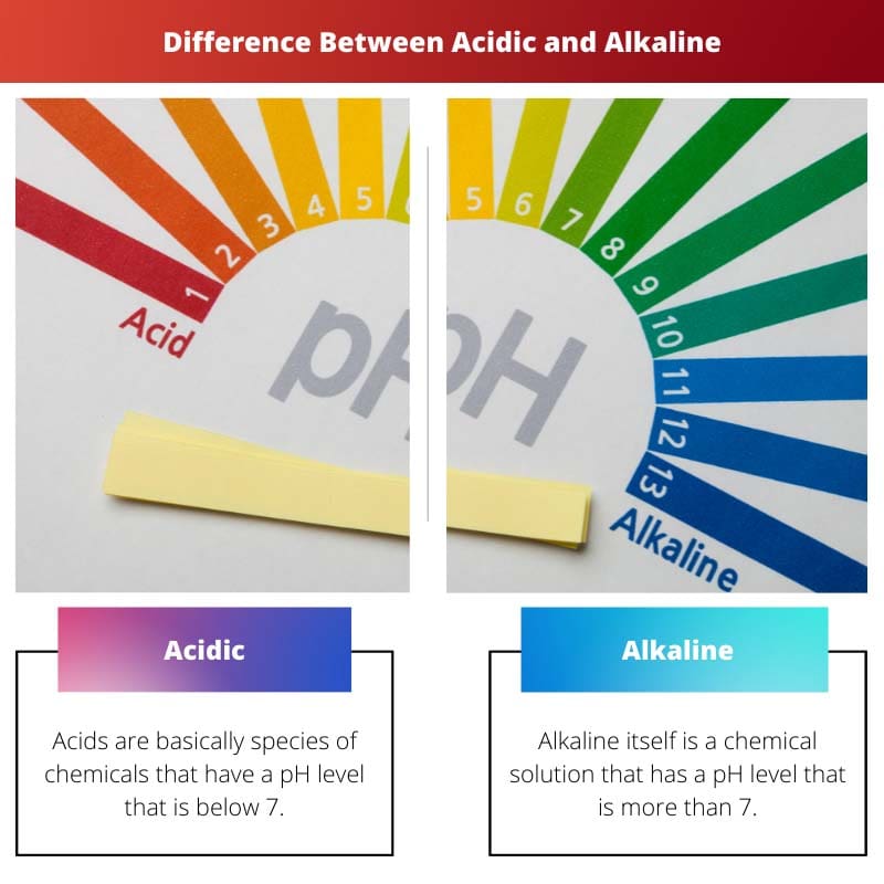 Difference Between Acidic and Alkaline