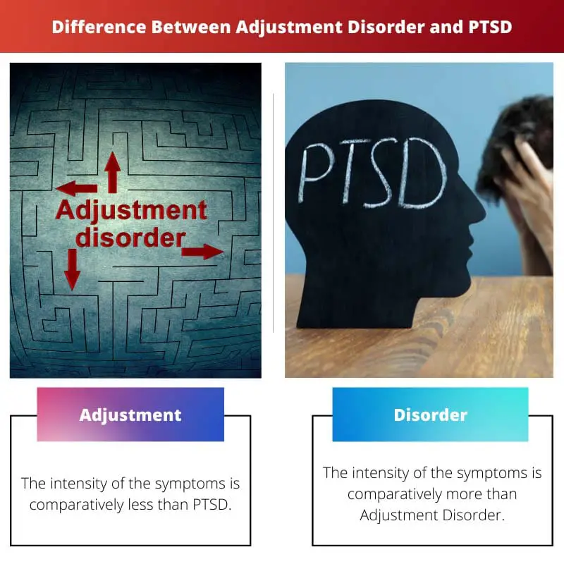Sự khác biệt giữa Rối loạn điều chỉnh và PTSD