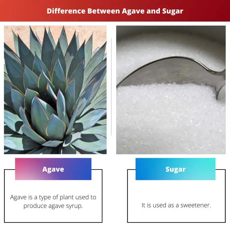 Difference Between Agave and Sugar