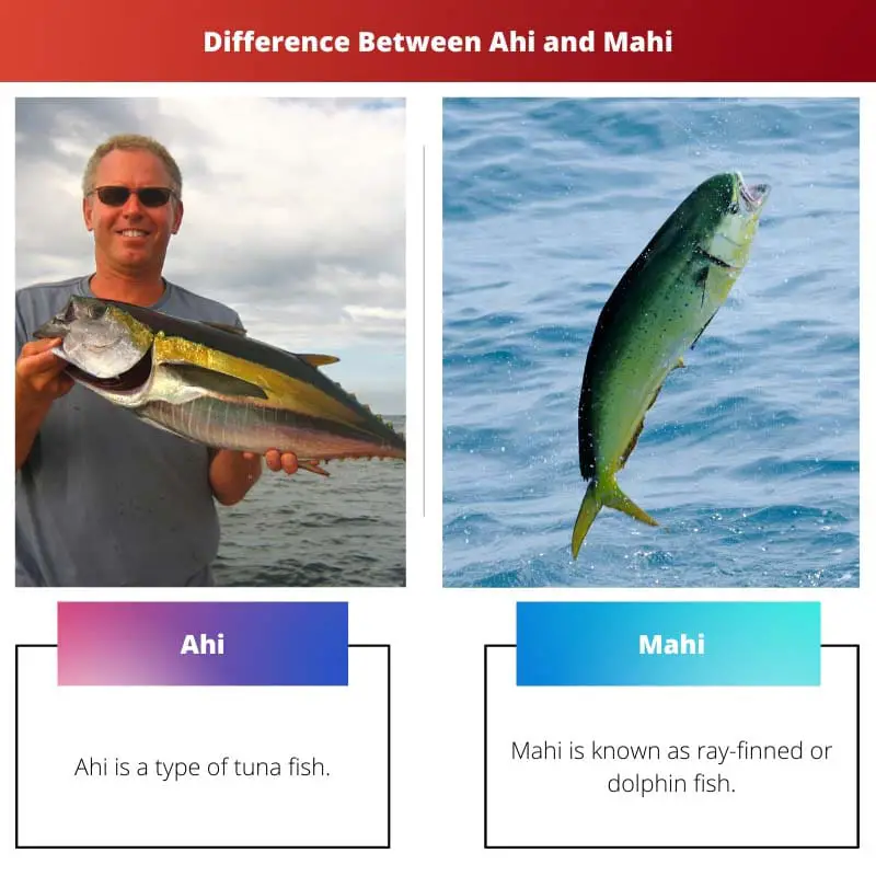 Difference Between Ahi and Mahi