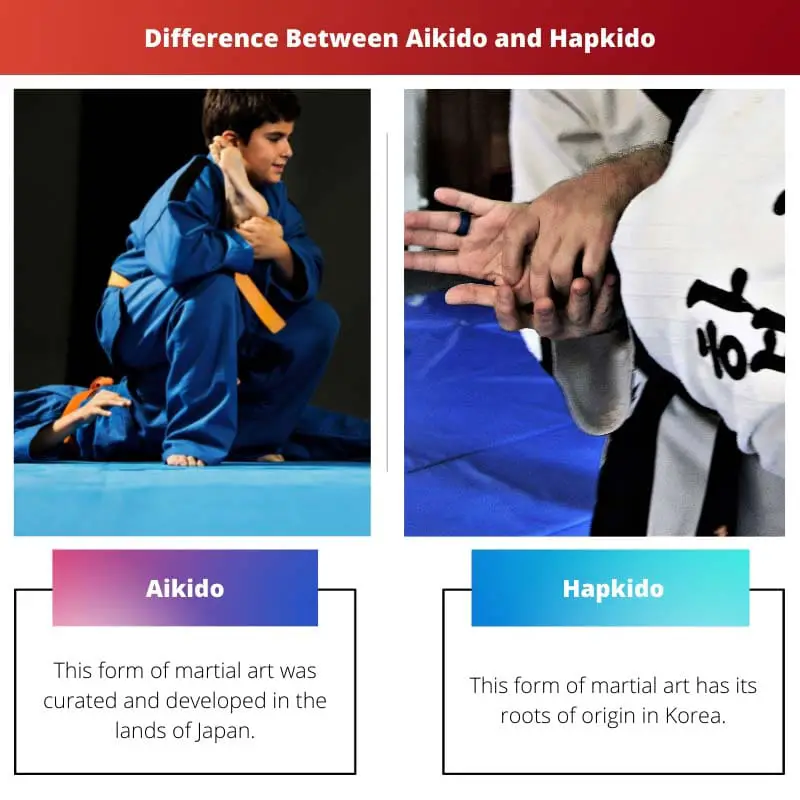 Difference Between Aikido and Hapkido