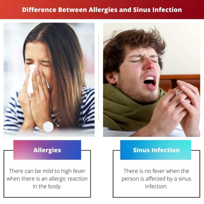 Rozdíl mezi alergiemi a sinusovou infekcí
