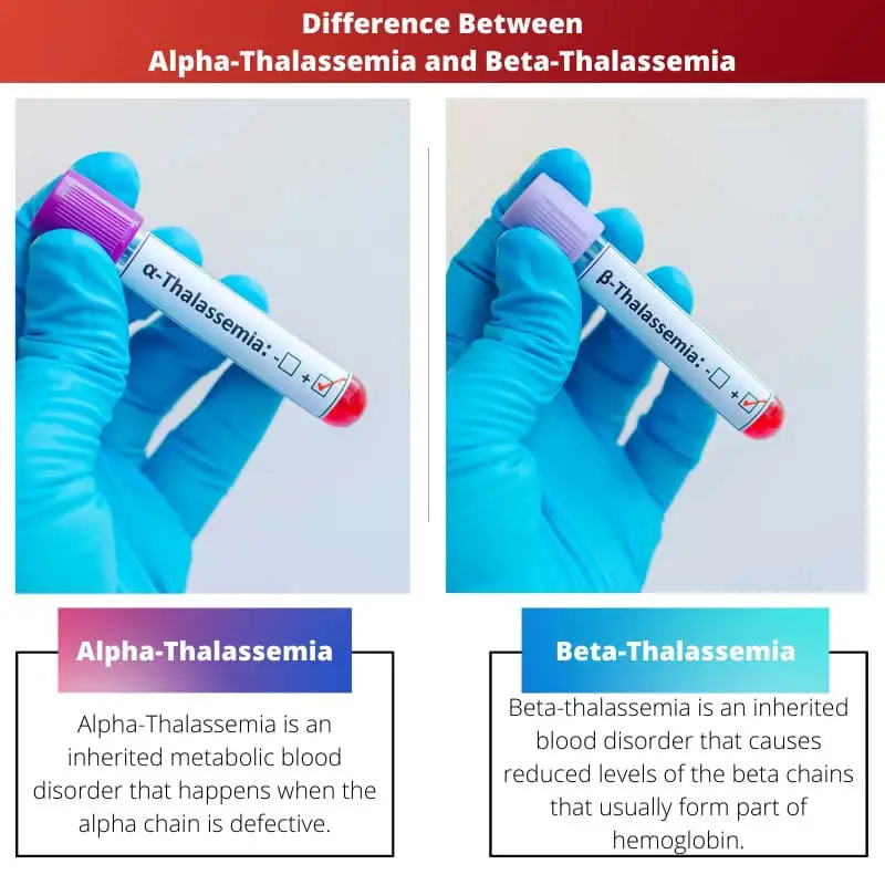 Verschil tussen alfa-thalassemie en bèta-thalassemie
