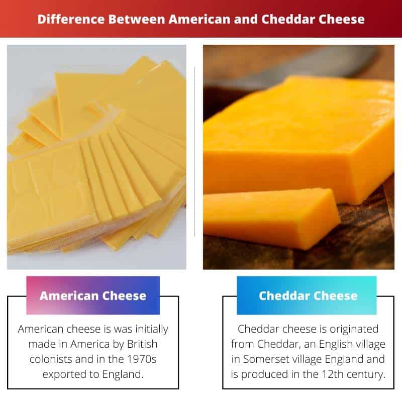 American vs Cheddar Cheese Difference and Comparison