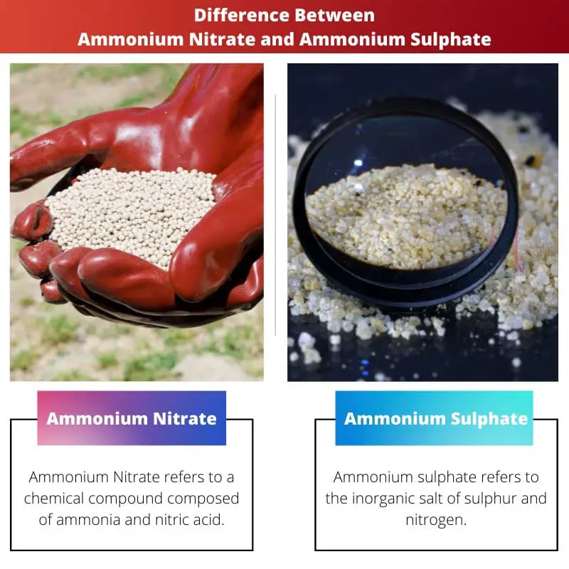 Diferencia entre nitrato de amonio y sulfato de amonio