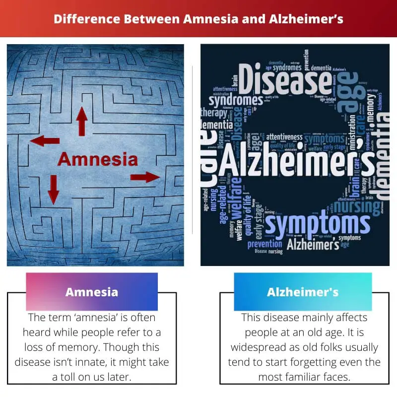 Difference Between Amnesia and Alzheimers