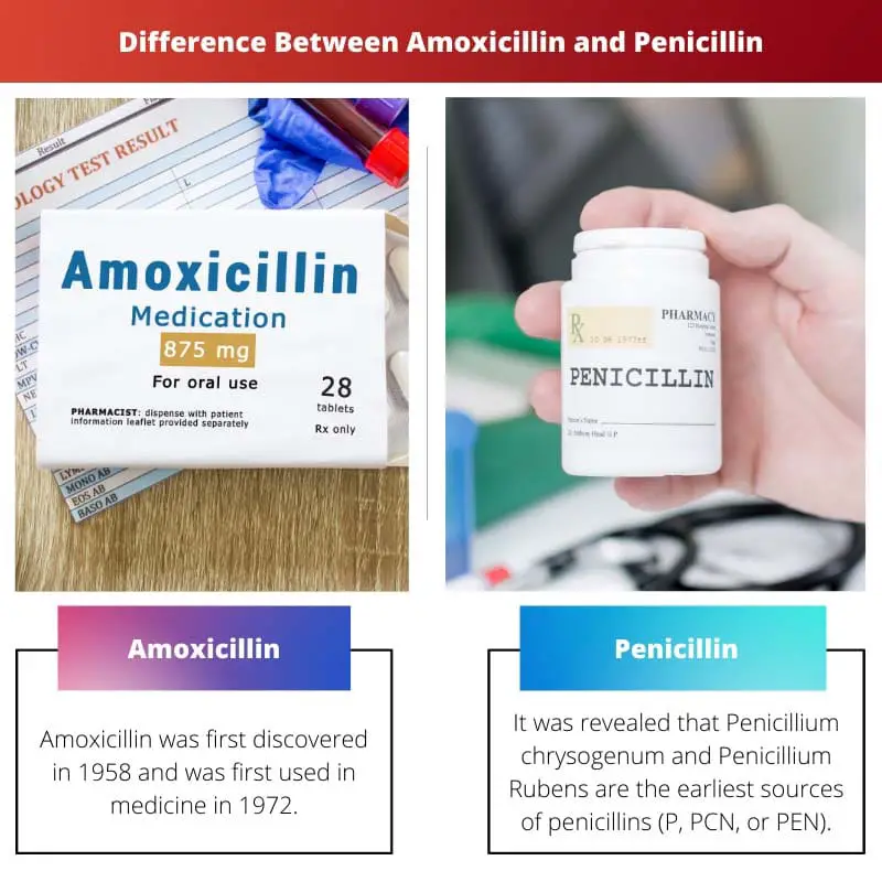 Difference Between Amoxicillin and Penicillin