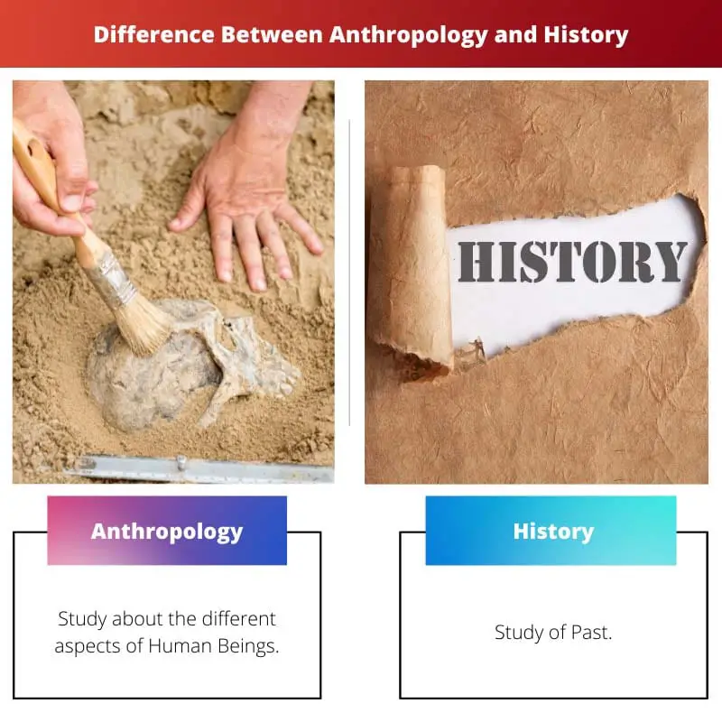 Difference Between Anthropology and History
