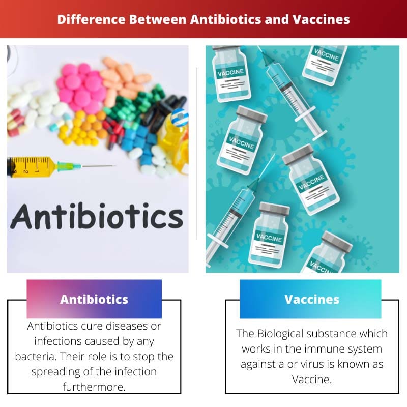 एंटीबायोटिक्स और टीकों के बीच अंतर