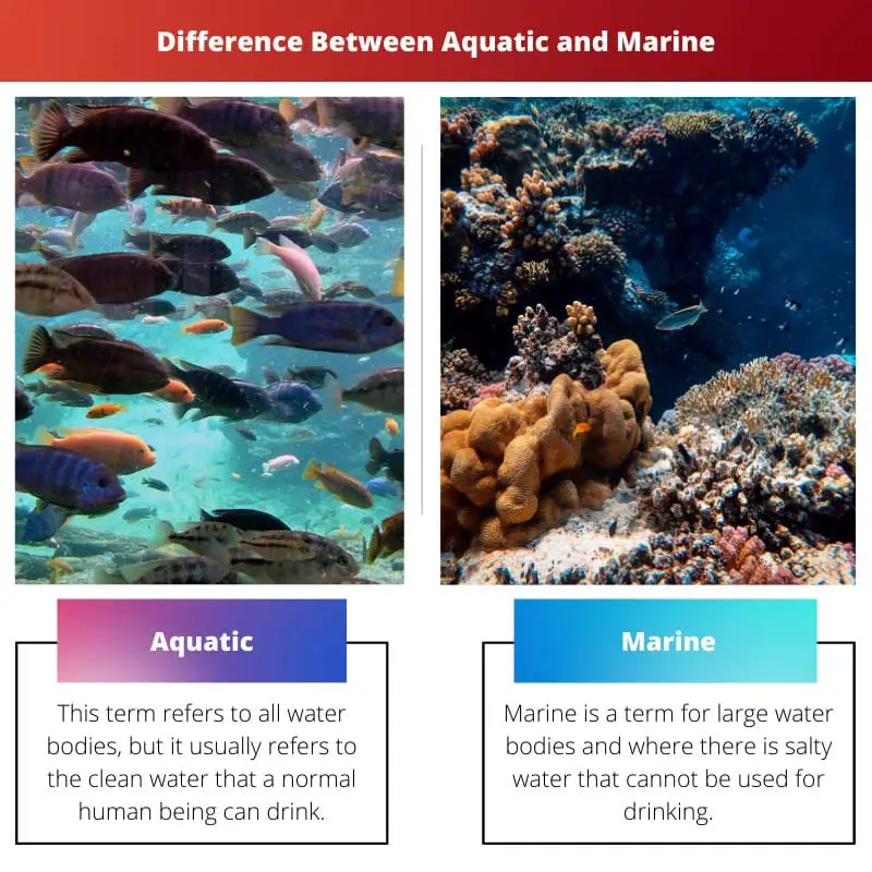 Verschil tussen aquatisch en marien