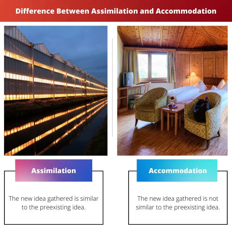 Difference Between Assimilation and Accommodation
