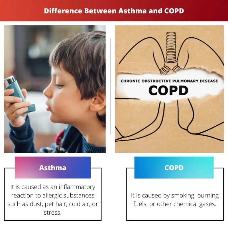 Rozdíl mezi astmatem a CHOPN