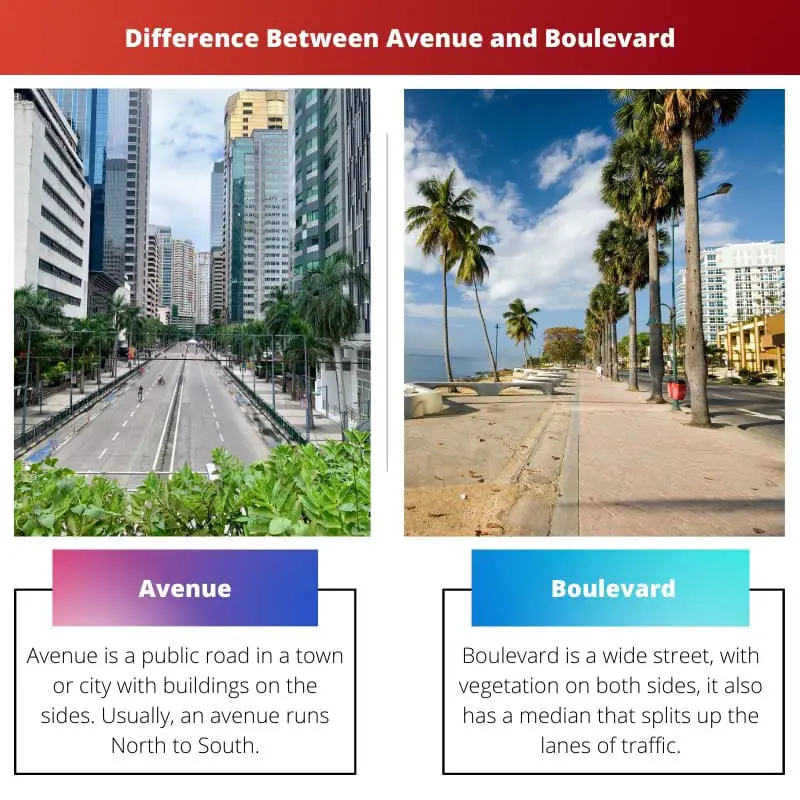 Difference Between Avenue and Boulevard