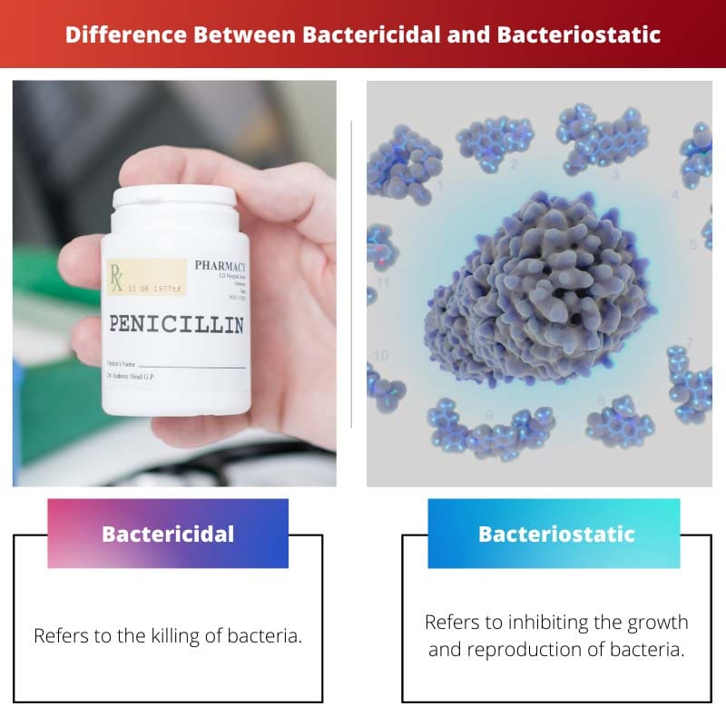 Diferença entre bactericida e bacteriostático