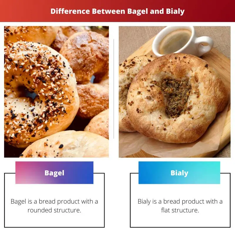 Difference Between Bagel and Bialy