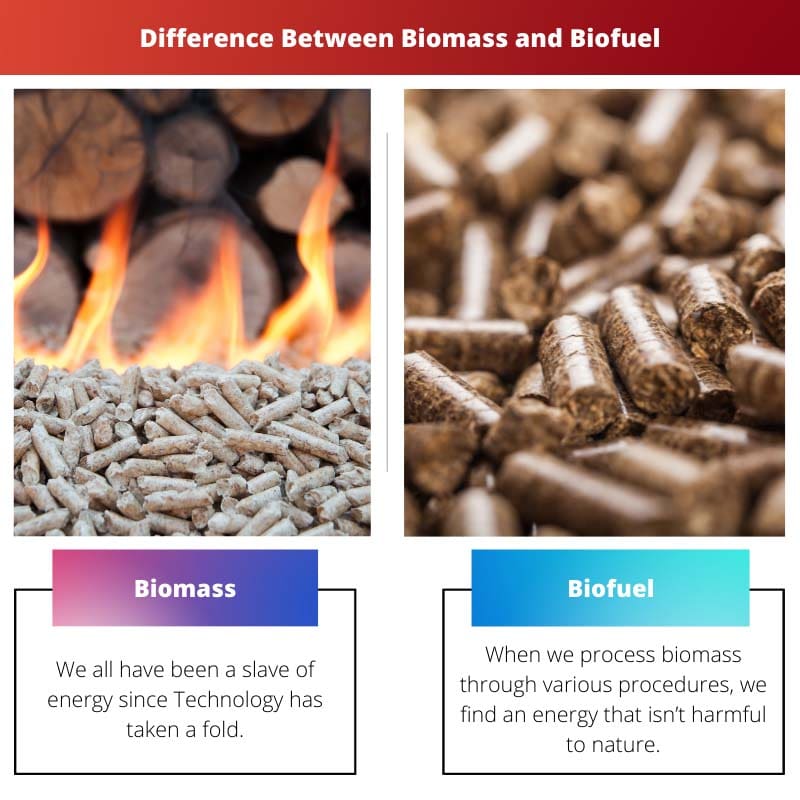 生物质和生物燃料之间的区别