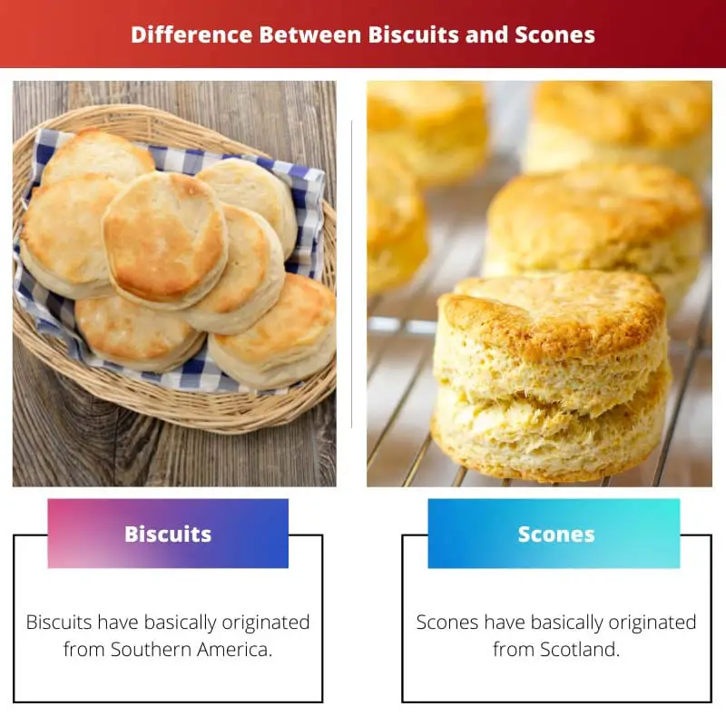 Difference Between Biscuits and Scones