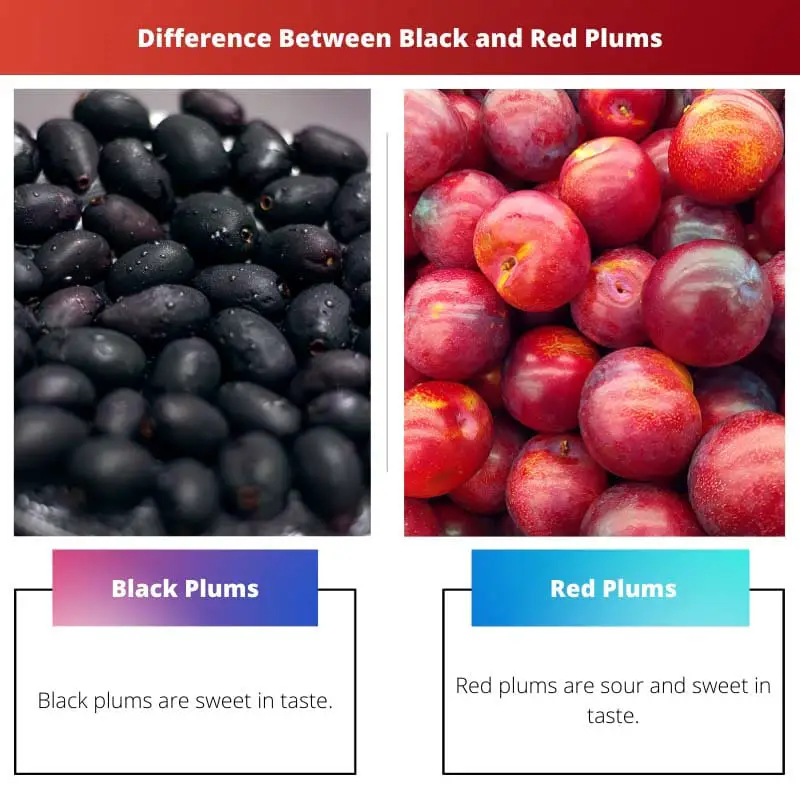 Difference Between Black and Red Plums